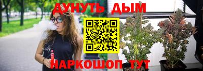 прущие грибы Можайск