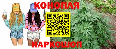 прущие грибы Можайск