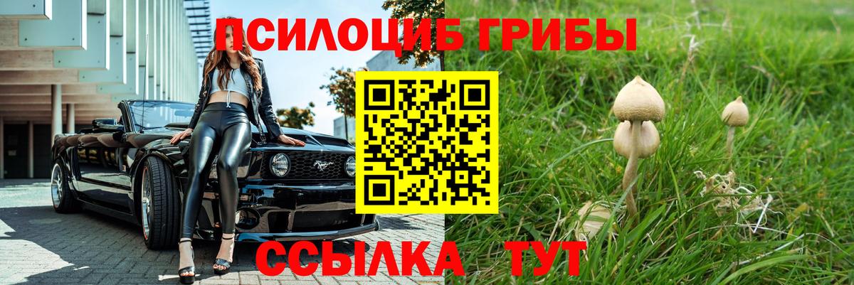 Галлюциногенные грибы прущие грибы  Псилоцибиновые грибы Cubensis  Усть-Джегута  Вход с VPN 